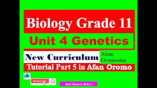 New Curriculum Biology Grade 11 Unit 4 Genetics Tutorial part 5 in Afan Oromo [upl. by Trinl]