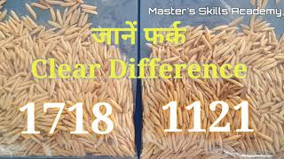 Difference between Pusa Basmati 1718 amp 1121 Paddy  1718 और 1121 धान में फर्क [upl. by Ahsekal]