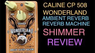 Caline wonderland ambient reverb machine [upl. by Liahus271]