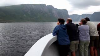 A Boat Tour to Remember Western Brook Pond  Newfoundland and Labrador Canada [upl. by Samuele]