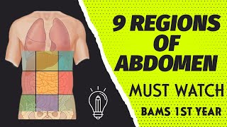 9 REGIONS OF ABDOMEN  ANATOMY  BAMS 1ST YEAR  NCISM bams ncism bams1styear [upl. by Fayina269]