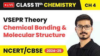 VSEPR Theory  Chemical Bonding and Molecular Structure  Class 11 Chemistry Chapter 4  CBSE live [upl. by Willis]