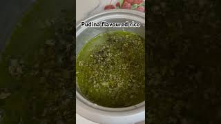 pudina flavoured rice [upl. by Melody]