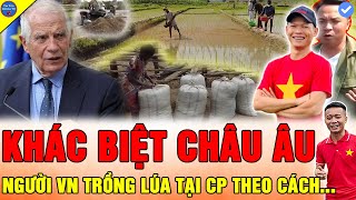 🔴CHÂU ÂU TÒ MÒ Team Quang Linh Vlogs MỎ VÀNG ĐEN GIÚP MỞ RỘNG DIỆN TÍCH TRỒNG LÚA NƯỚC TẠI BẢN LÀNG [upl. by Zumstein]