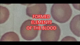 Formed elements of the Blood [upl. by Nevarc461]