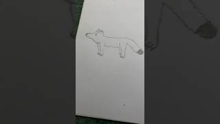 Drawing an arctic fox for Yukiletherian [upl. by Calondra118]