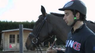 A laise avec votre cheval sur les pointes cross  CCE  Equidia Life [upl. by Adanama]