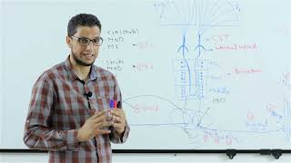 Causes of upper motor neuron disease and Lower motor neuron disease [upl. by Loella]