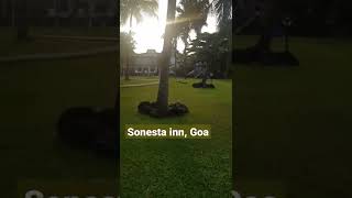 sonesta inn Goa sonestaingoa hotel view candolim bestonenear to beachdirect walk to beach [upl. by Omiseno]