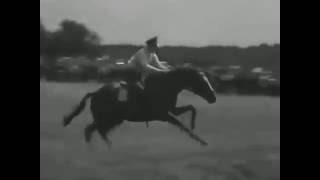 Leni Riefenstahl  Olympia  Equestrian Footage  36 olympics [upl. by Malcolm306]