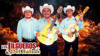 LOS JILGUEROS DEL BALSAS  20 Exitos De Oro  Musica Rancheras Mexicana [upl. by Aicram797]