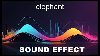 Elephant Sound Effects  HD SFX 🎧 [upl. by Nosremaj]