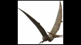 Sonidos reales de Pterodáctilo  Pterodactyl Sounds [upl. by Nodanrb]