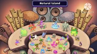 Natural Island  MSM Composer App Song [upl. by Heindrick]