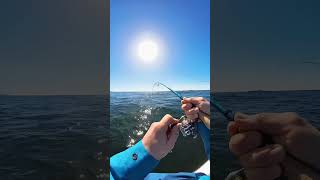 Light tackle jigging for Lingcod Soft plastic lure bottom fishing offshore Tofino BC PNW [upl. by Ah]