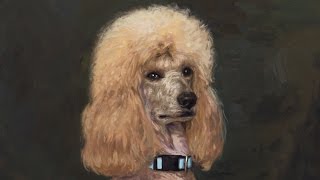 Painting Demo Poodle Head [upl. by Alle418]