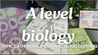 A level biology edexcel A SNAB Topic 1 Atherosclerosis and Blood Clotting [upl. by Rehpotsrhc]