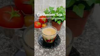 Cardamom Tea  Tea Lovers🍵 shorts tea tealover qatar kerala recipe [upl. by Orlina]