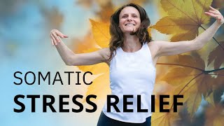 Somatic Exercises for Stress Relief  SOMATIC WORKOUT FOR STRESS [upl. by Oakes]