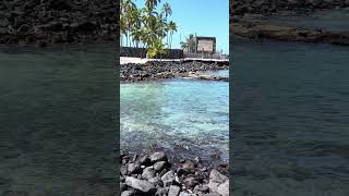 Puuhonua O Honaunau Big Island hawaii [upl. by Seale488]