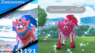 World First Ever✨Shiny Zamazenta Raid in pokemongo [upl. by Zaslow935]