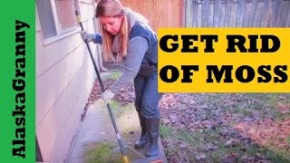 How To Get Rid Of Moss On Walkways Driveways Roofs Fences Gardens Sidewalks [upl. by Navar610]