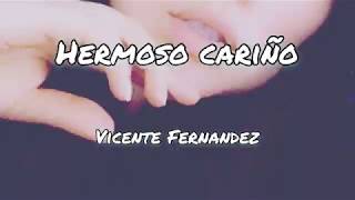 Hermoso Cariño  Vicente Fernández  Letra [upl. by Nnaeitak978]