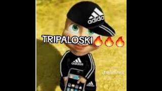 TRIPALOSKI MASHA 🔥🔥 [upl. by Richma]