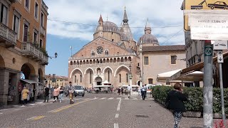 Campane di Padova PD  Basilica di S Antonio [upl. by Inoek368]