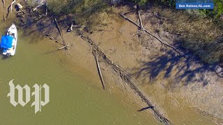 What happened to the Clotilda Last US slave ship may have been unearthed [upl. by Bobina]