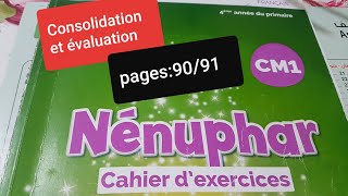 Consolidation et évaluation pages90 et 91 Nénuphar CM1 cahier dexercices [upl. by Hassi]