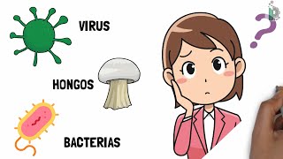 Diferencias entre virus ☣ bacterias 🦠y hongos 🍄 Video animado y con ejemplos [upl. by Lanita]