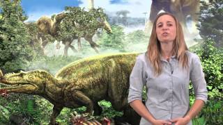 Dinosaur Myth Busted Dinosaurs and lizards [upl. by Stauder]