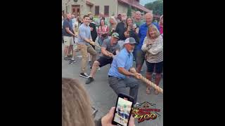 Tiger Tug of War at Roosevelt Park Zoo watch who won [upl. by Ulyram712]