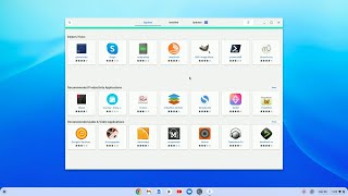 How to Install Snap Store in Linux on Chromebook [upl. by Yuji969]