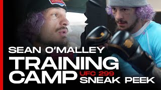 Exclusive Access to Suga Sean OMalley UFC 299 Training Camp Day vs Marlon Chito Vera  SANABUL [upl. by Sitoiganap]