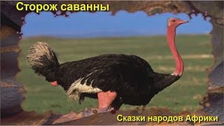 Cторож саванны аудиосказка для детей [upl. by Lehteb]