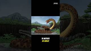 La serpiente más grande del mundo Titanoboa el monstruo de Latinoamérica animalesfantasticos [upl. by Ahsinned659]