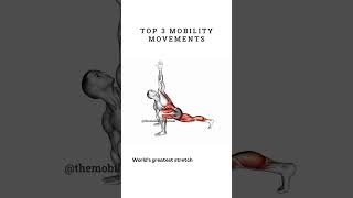 The BEST Stretching Exercises for Mobility amp Flexibility DO THESE [upl. by Natsyrk672]