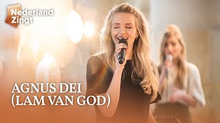 Agnus Dei Lam van God  Nederland Zingt [upl. by Kowal]