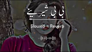 Bebe Shereni SlowedReverb Pashto Song  Sad Song  Lofi Song  New Song 2022 [upl. by Winona]