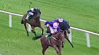 The Basil Holian owned Soaring Monarch wins the feature on day 2 at Listowel Races 2024 [upl. by Notnyw887]