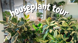 Houseplant Tour  OVER 200 PLANTS IN A SMALL HOUSE [upl. by Ennahteb91]