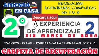 📐RESOLUCIÓN CARPETA DE RECUPERACION  EXPERIENCIA 2  2DO SECUNDARIA  COMPLETA ✏️ [upl. by Suruat]