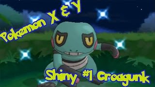 Live Shiny Croagunk 40 Pokeradar  Pokemon X amp Y [upl. by Aihsekyw]