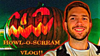 Howl O Scream 2024 Busch Gardens [upl. by Anitteb916]