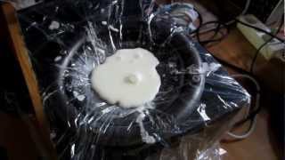 NonNewtonian Fluid  Experiment One [upl. by Victoria]