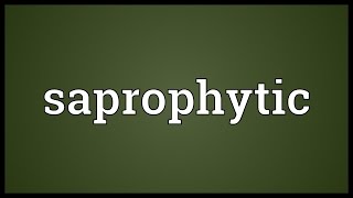 Saprophytic Meaning [upl. by Mariana]