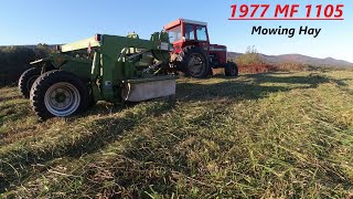 Mowing Hay  MF 1105 amp Krone 2801cv Disc Mower Conditioner  2nd Cutting On The High Ground [upl. by Stieglitz]