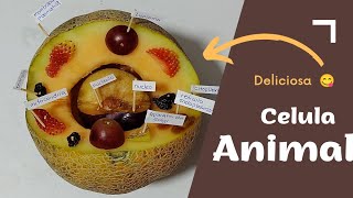 MAQUETA CELULA ANIMAL COMESTIBLE HECHA CON FRUTAS deliciosa manualidad paso a paso [upl. by Filia]